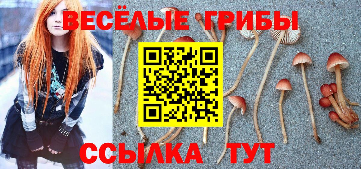 Галлюциногенные грибы прущие грибы  где продают наркотики  Улан-Удэ  Вход с VPN 
