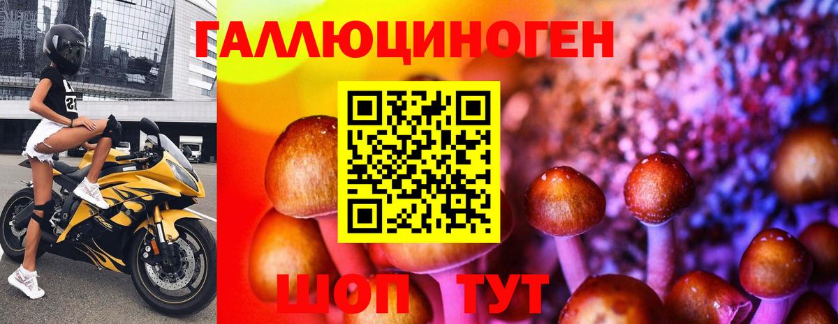 Псилоцибиновые грибы GOLDEN TEACHER Улан-Удэ